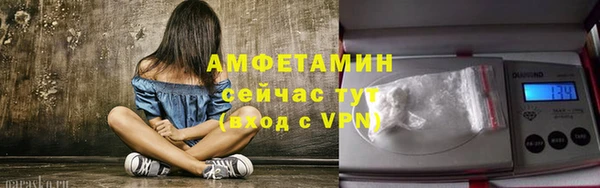 ПСИЛОЦИБИНОВЫЕ ГРИБЫ Каменногорск