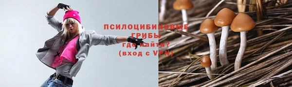 герыч Каменка