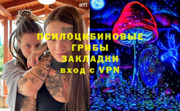 ПСИЛОЦИБИНОВЫЕ ГРИБЫ Каменногорск