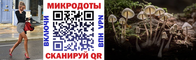 Купить где  Новокузнецк  Псилоцибиновые грибы Cubensis 